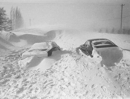 buffalo blizzard 1977